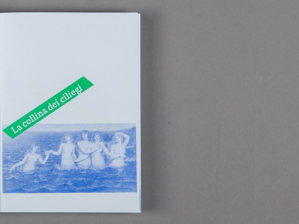 naturamatic progetto stampa in risograph. risograph printing project
